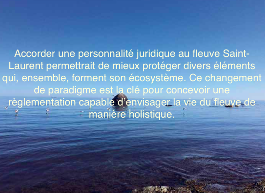 Septembre 2023 - Revue Relation : À la défense des droits du fleuve