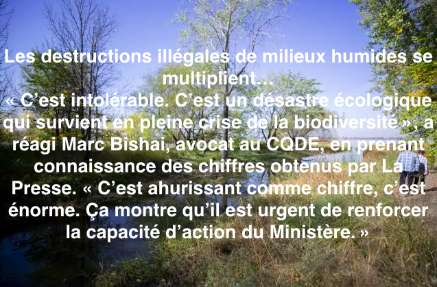 Le 28 sptembre 2023 - Milieux humides Les destructions illégales se multiplient