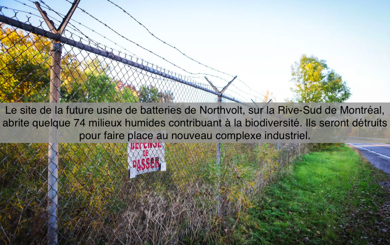 le 16 -17 novembre 2023 -Un total de 74 milieux humides sur le site de Northvolt