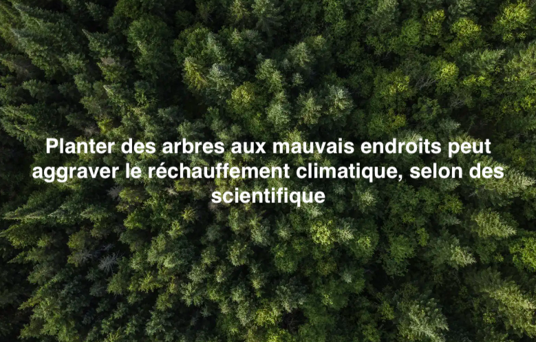 Le 26 mars 2024 - Planter des arbres aux mauvais endroits peut aggraver le réchauffement climatique, selon des scientifiques