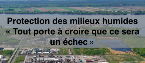 Le 23 avril 2024 - Protection des milieux humides « Tout porte à croire que ce sera un échec »