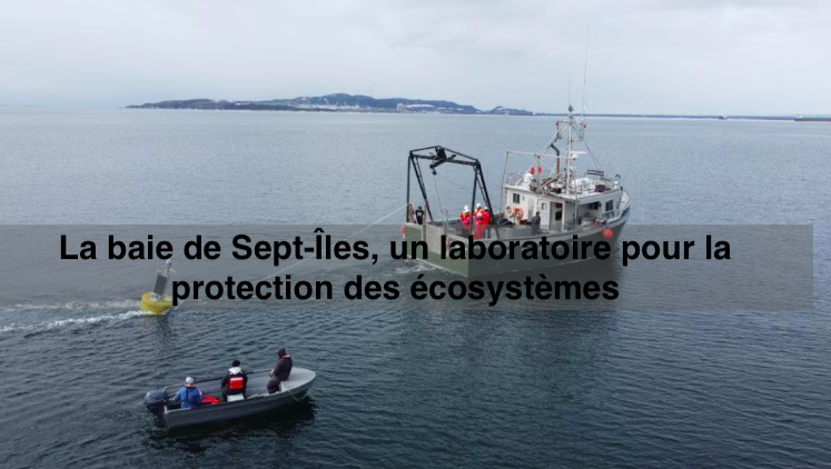 Le 29 mai 2024 - La baie de Sept-Îles, un laboratoire pour la protection des écosystèmes