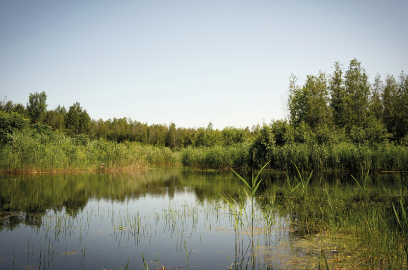 19 janvier 2023 L’incertaine restauration des milieux humides