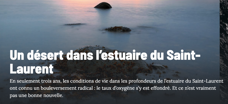 L 2 août 2023 -Un désert dans l’estuaire du Saint-Laurent