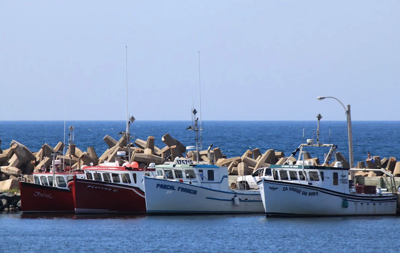 Le 17 août 2023 -Des millions réclamés en compensation pour la fin de l’exploration pétrolière au Québec