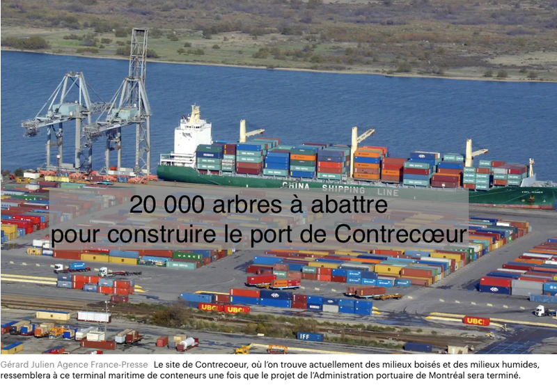 Le 8 janvier 2024 - 20 000 arbres à abattre pour construire le port de Contrecœur - Copier
