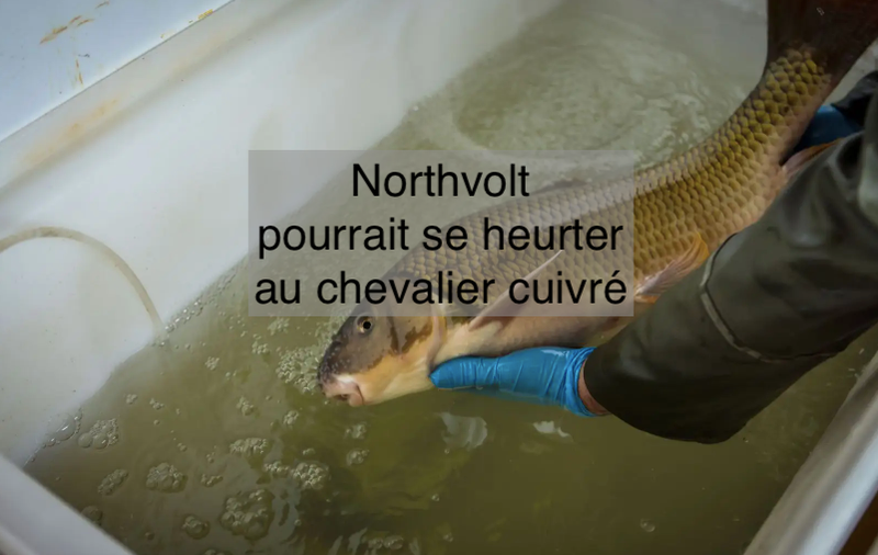 Le 23 janvier 2024 - Northvolt pourrait se heurter au chevalier cuivré