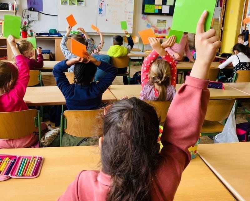 Grüne Karte - orange Karte und der Daumencheck