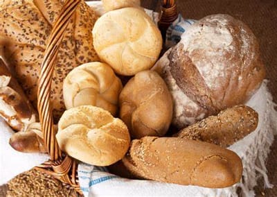 KRMENÍ PTÁKŮ - zábava, která ubližuje