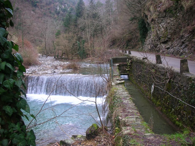 NATUREZA