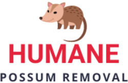 Humane Possum Removal