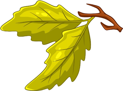 Oak Twig