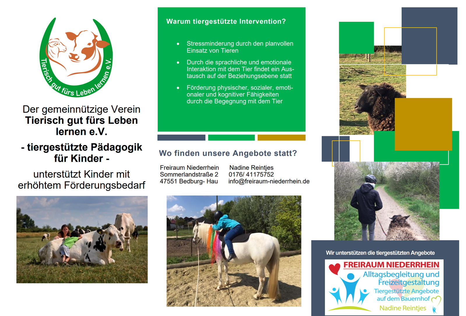 Satzung und Flyer