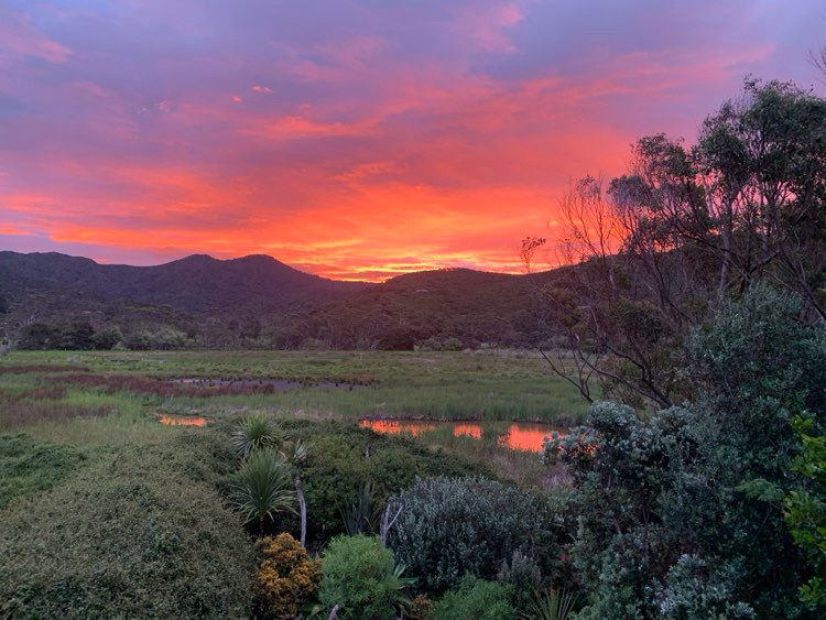 Sunset over Medlands Wetland