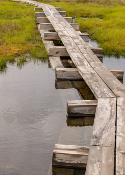 Access bridges