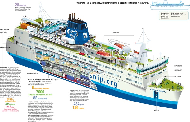 Award Winning Research Infographics. A few of my infographic works have been translated into other languages besides English and have been used as educational guides.