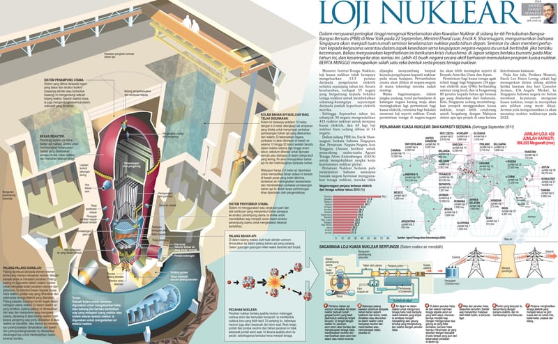 Award Winning Research Infographics. A few of my infographic works have been translated into other languages besides English and have been used as educational guides.