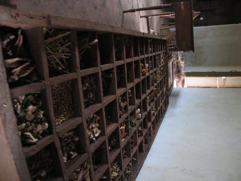 Photo journalism for travel write-ups. Kerala Dreaming.