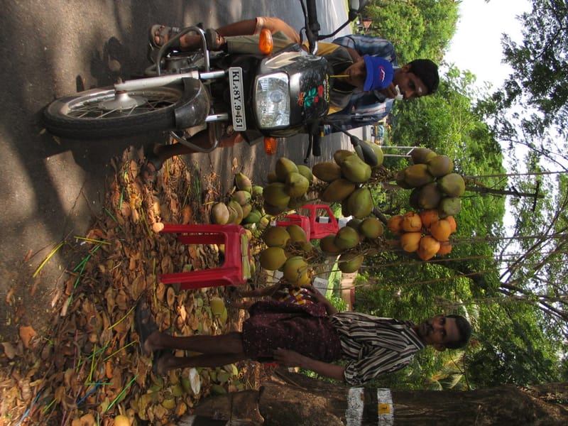 Photo journalism for travel write-ups. Kerala Dreaming.