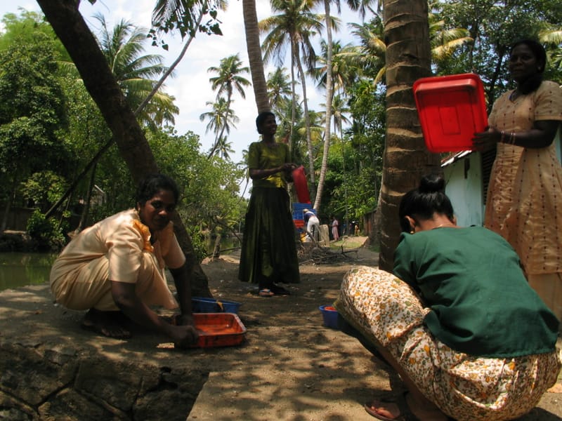 Photo journalism for travel write-ups. Kerala Dreaming.
