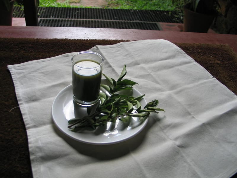 Photo journalism for travel write-ups. Kerala Dreaming.