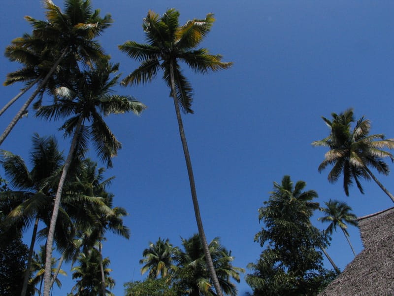 Photo journalism for travel write-ups. Kerala Dreaming.