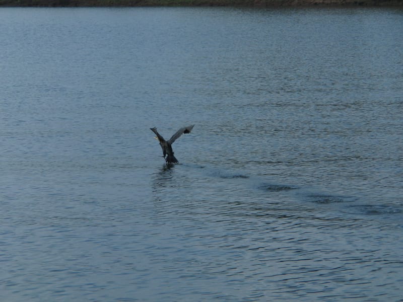 Photo journalism for travel write-ups. Kerala Dreaming.