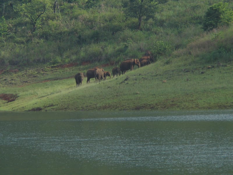 Photo journalism for travel write-ups. Kerala Dreaming.