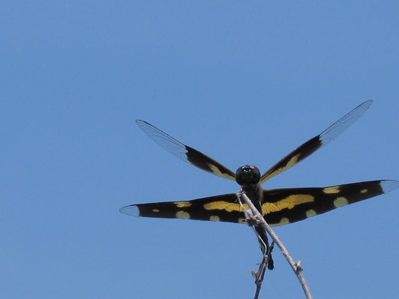 Photo journalism for travel write-ups. Kerala Dreaming.