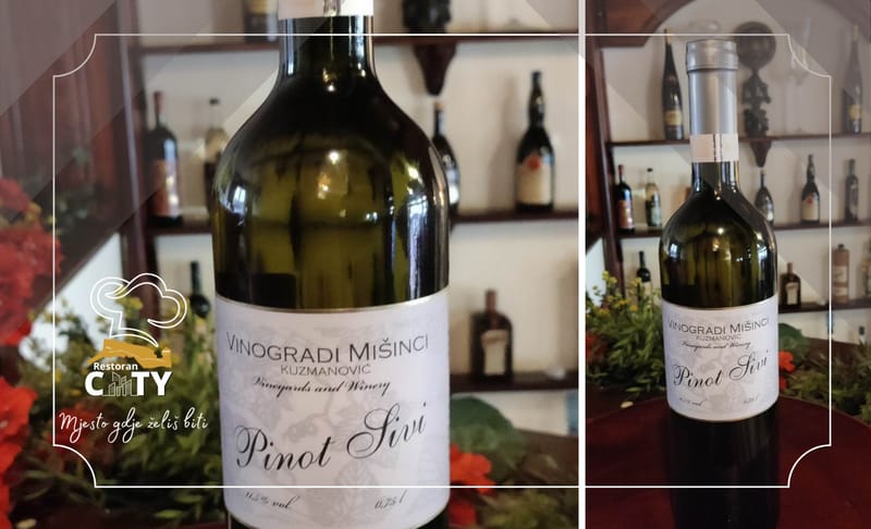 Sivi Pinot Kuzmanović