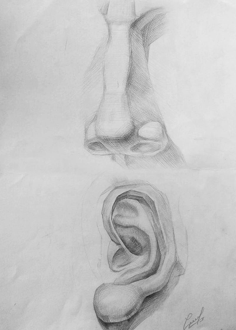 Drawing and Painting