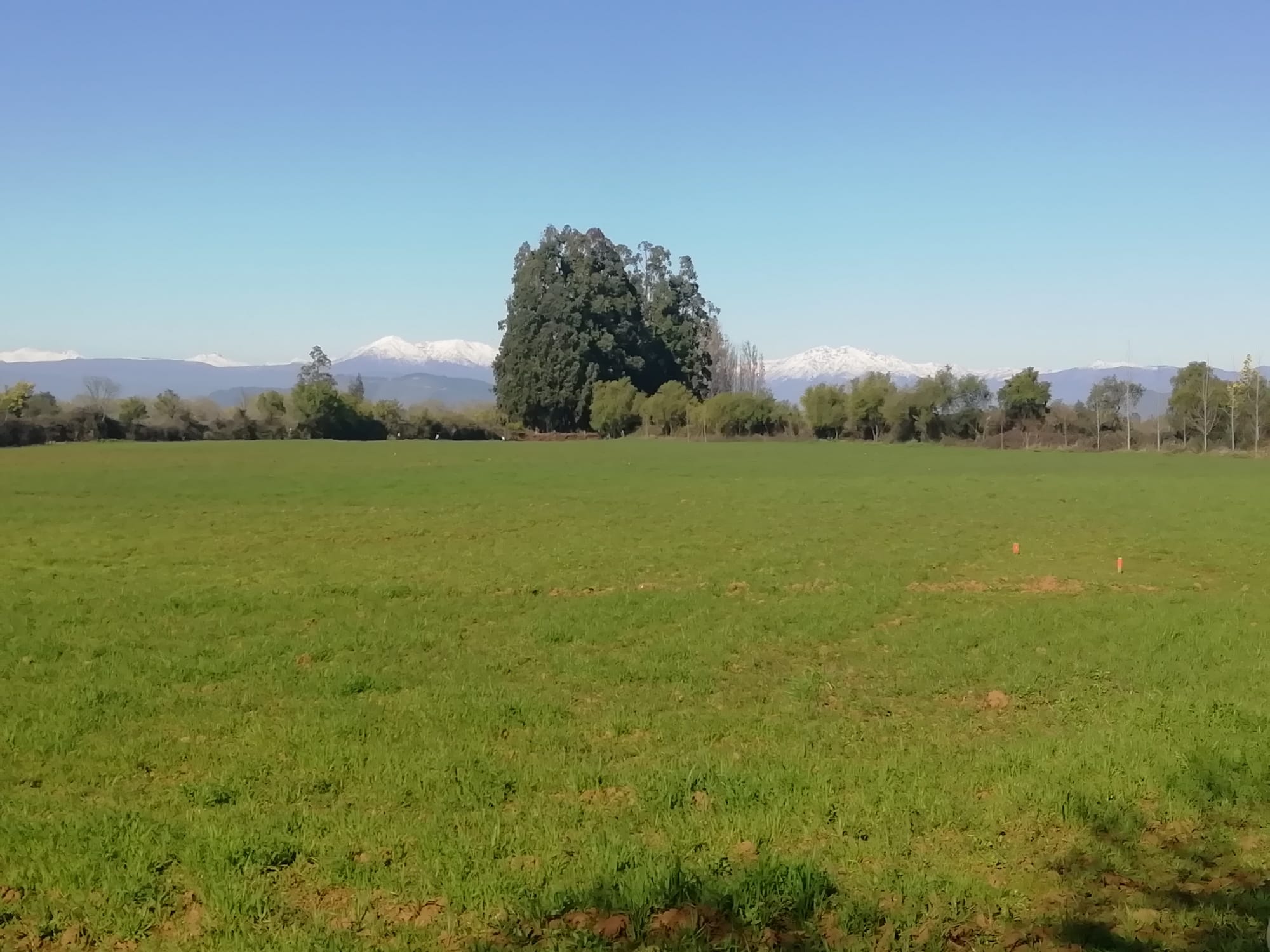 Se Vende parcela de 2hás, subdividida en 4 lotes