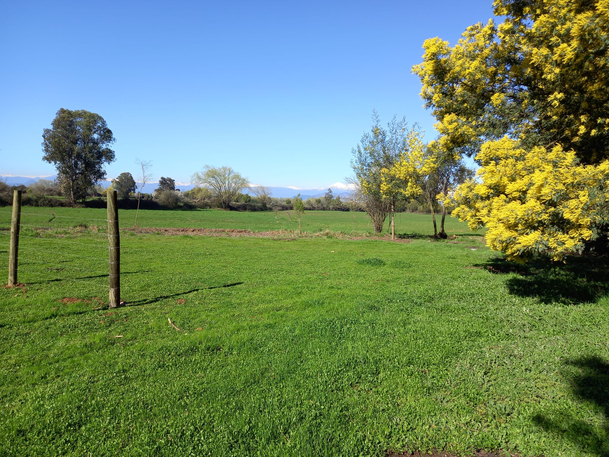 Se Vende parcela de 2hás, subdividida en 4 lotes