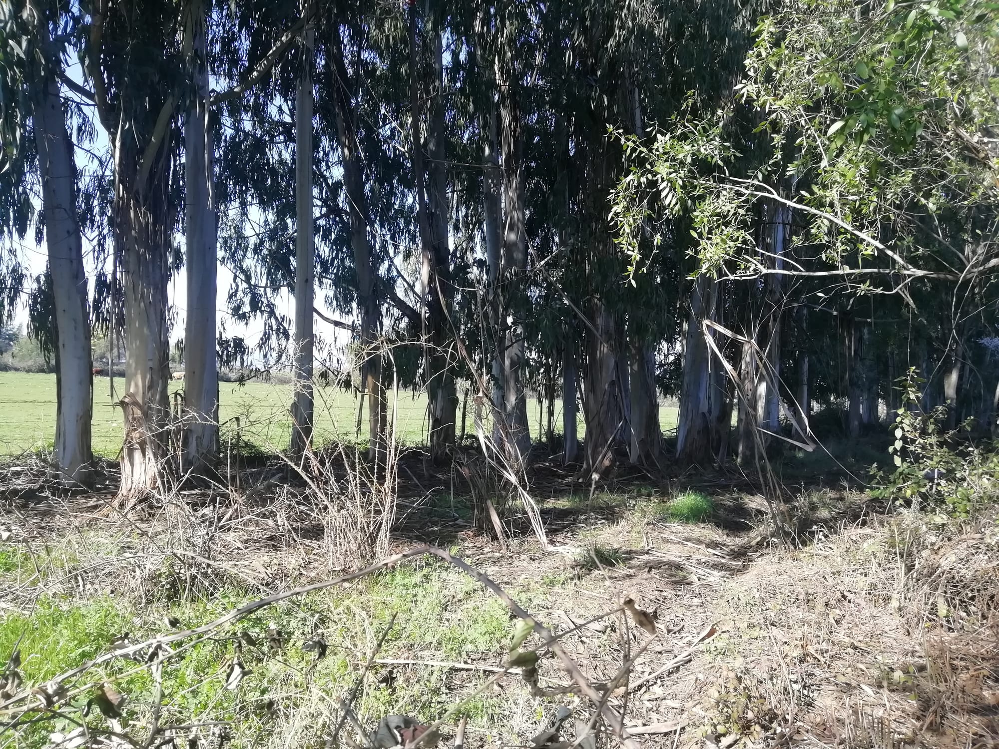 Se Vende parcela de 2hás, subdividida en 4 lotes