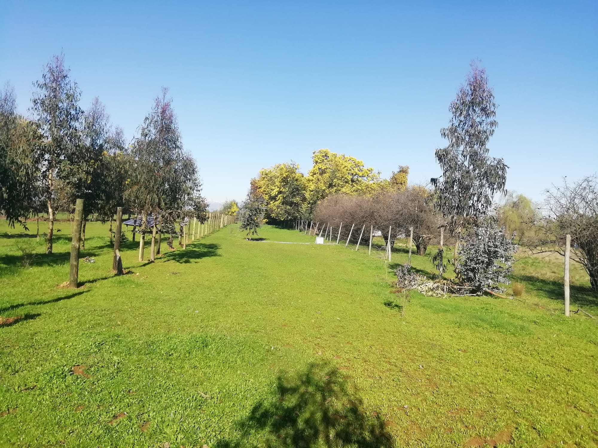 Se Vende parcela de 2hás, subdividida en 4 lotes