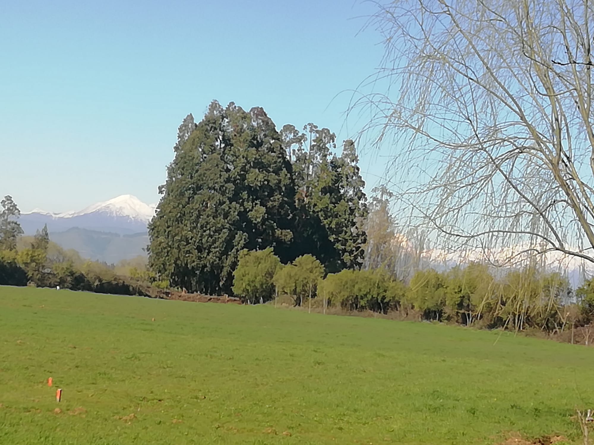 Se Vende parcela de 2hás, subdividida en 4 lotes