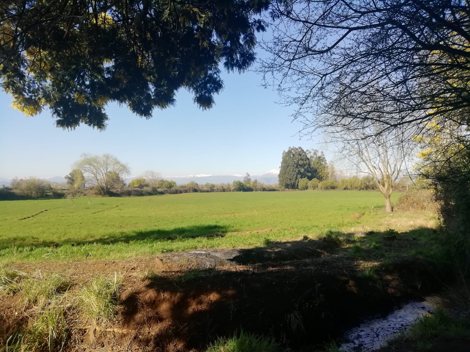 Se Vende parcela de 2hás, subdividida en 4 lotes