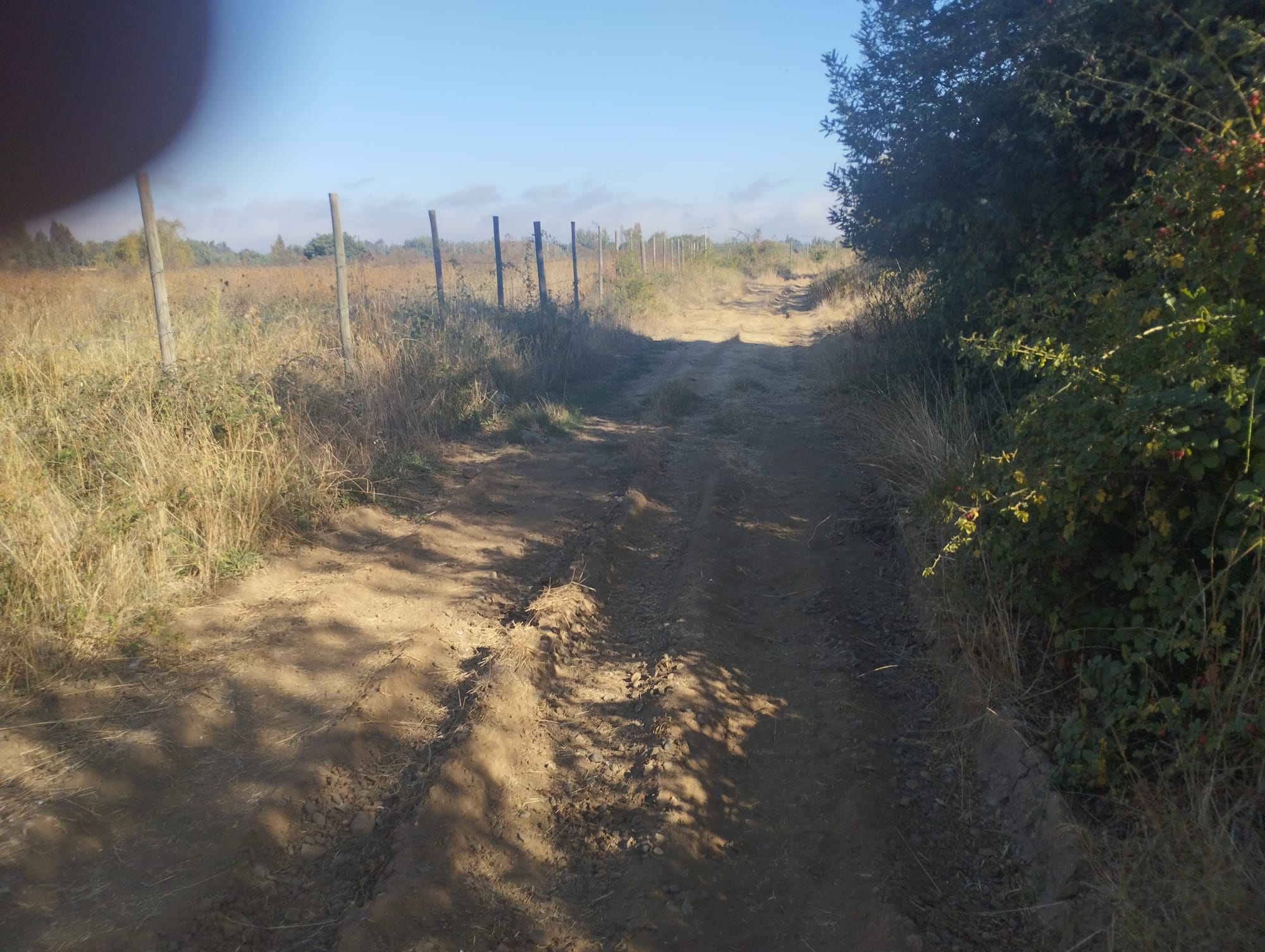 Se vende parcela de 1.8 hás con agua de riego