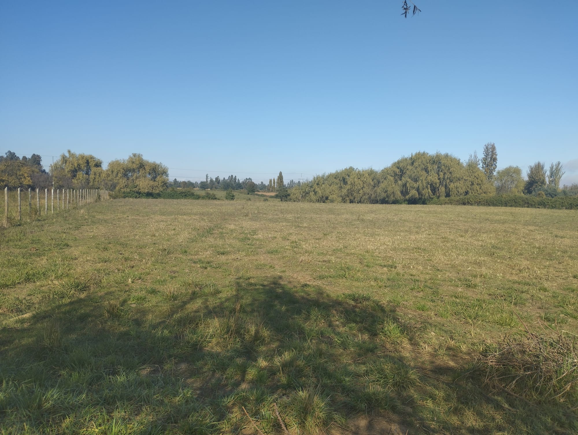 Se vende parcela de 1.8 hás con agua de riego