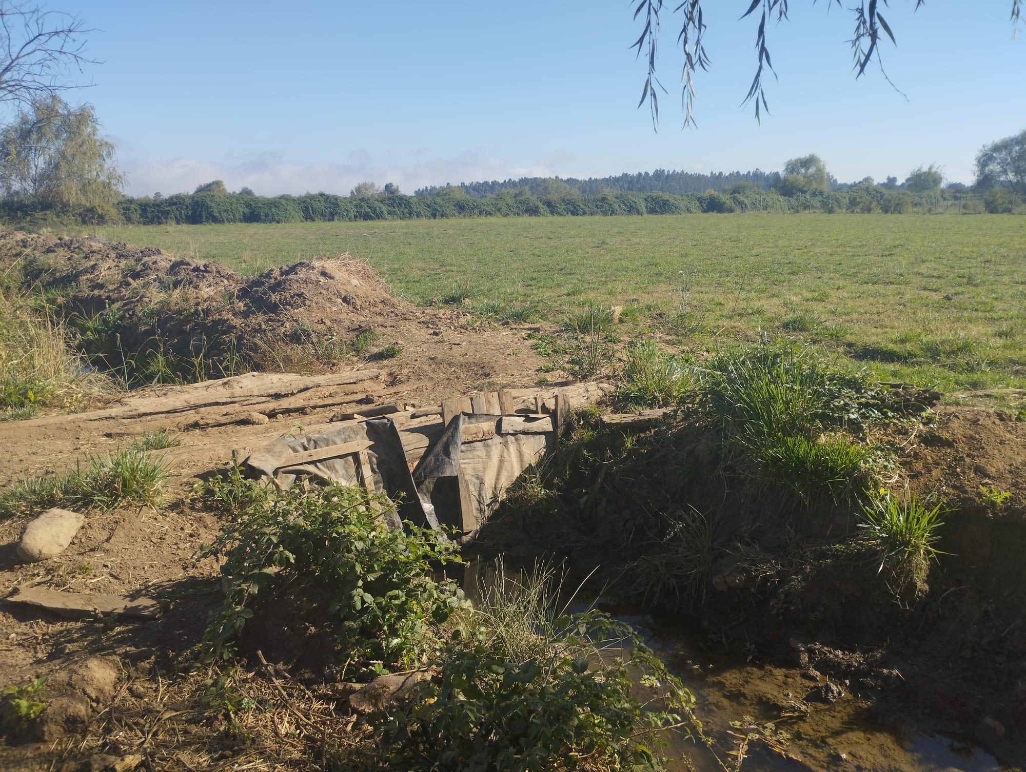 Se vende parcela de 1.8 hás con agua de riego