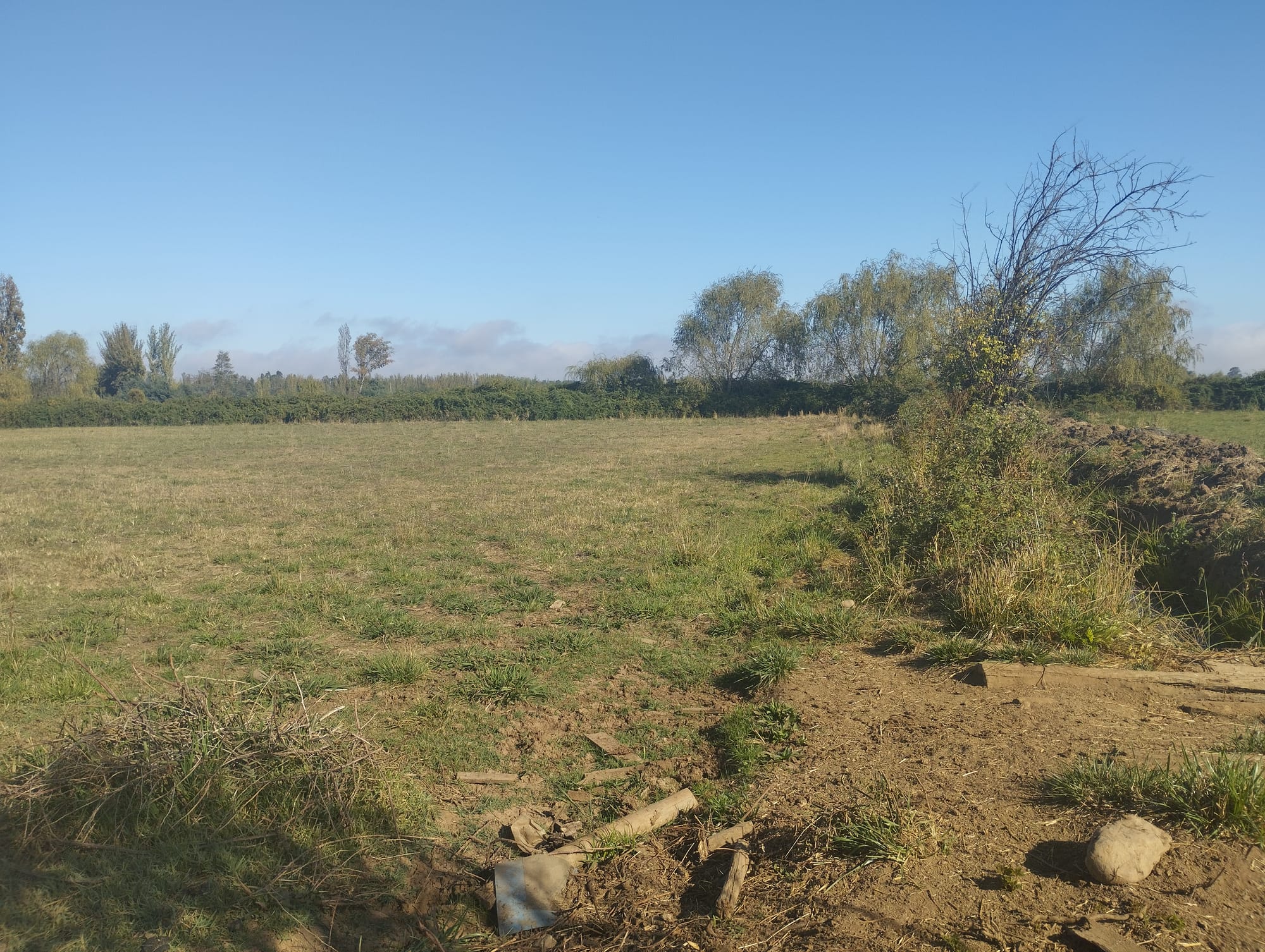 Se vende parcela de 1.8 hás con agua de riego