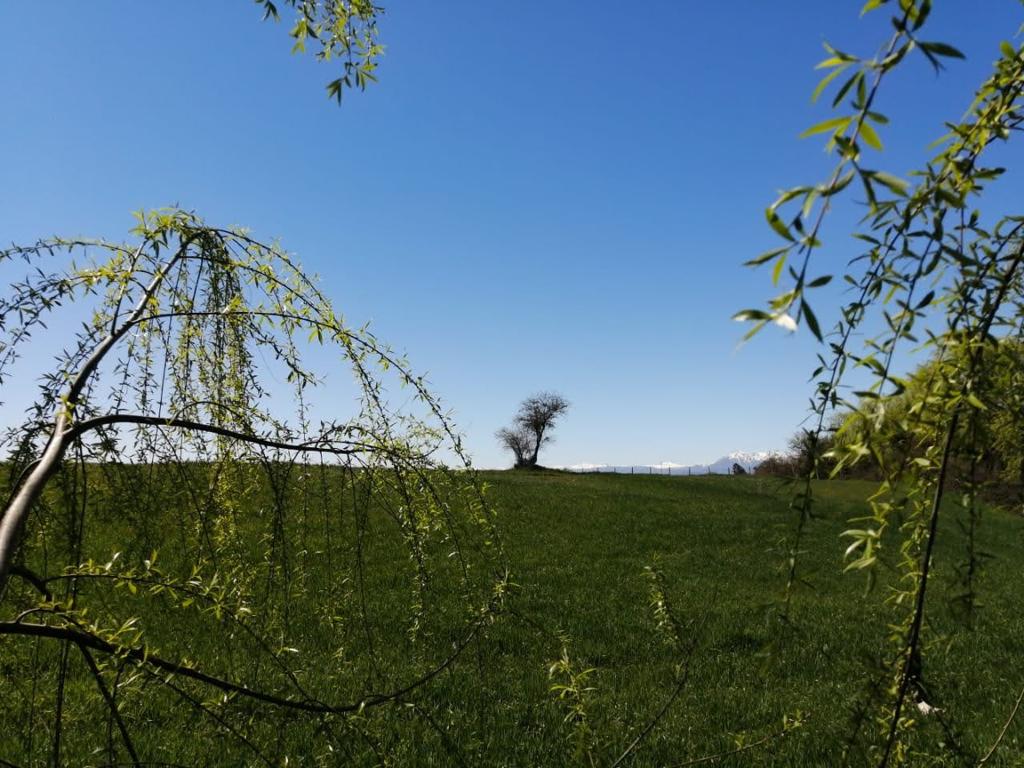 Se vende parcela de 1.8 hás con agua de riego