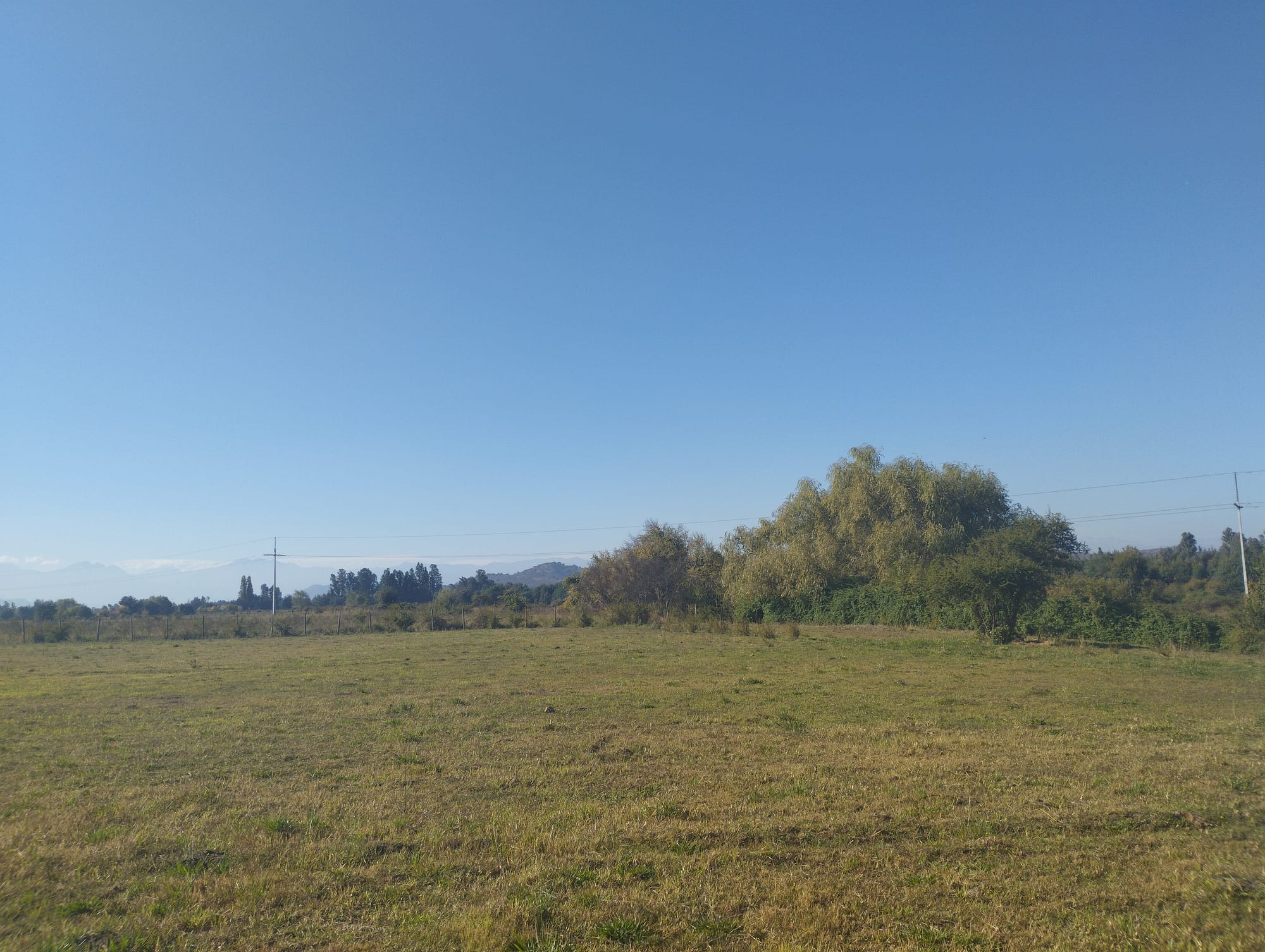 Se vende parcela de 1.8 hás con agua de riego