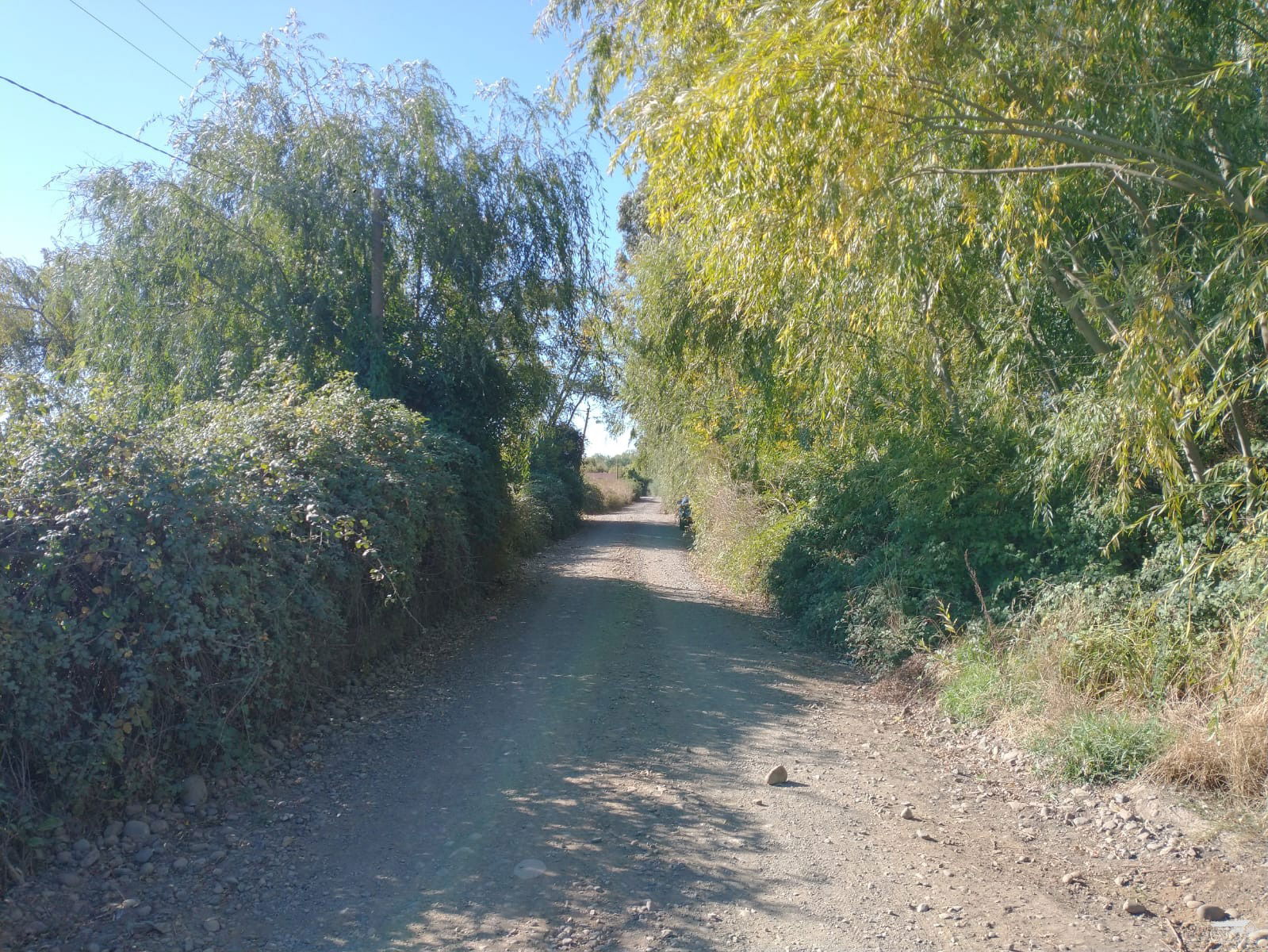 Se vende parcela de 10 hás en Pelarco - Región del Maule - $320.000.000