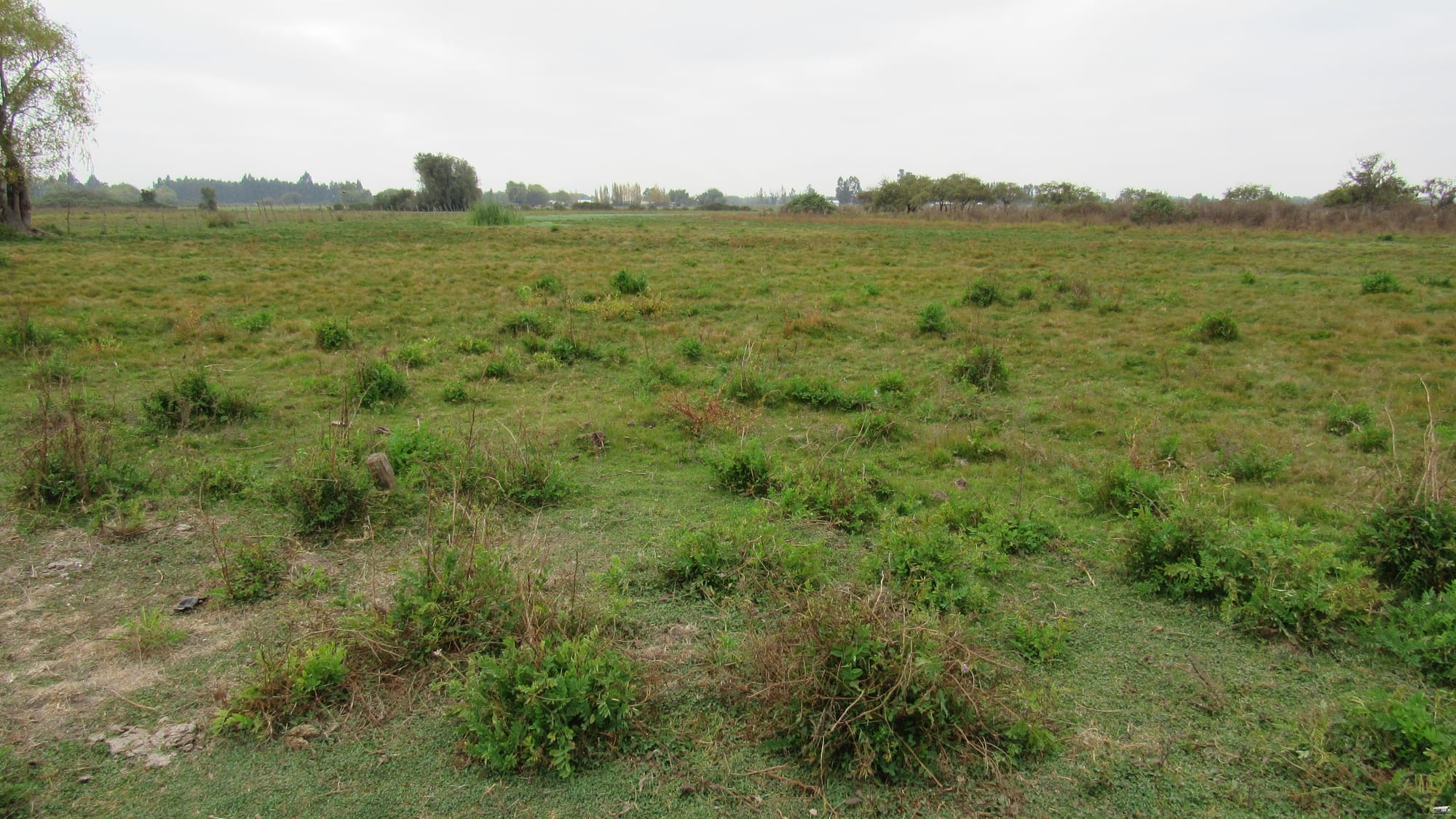 Se vende parcela de 10 hás en Pelarco - Región del Maule - $320.000.000