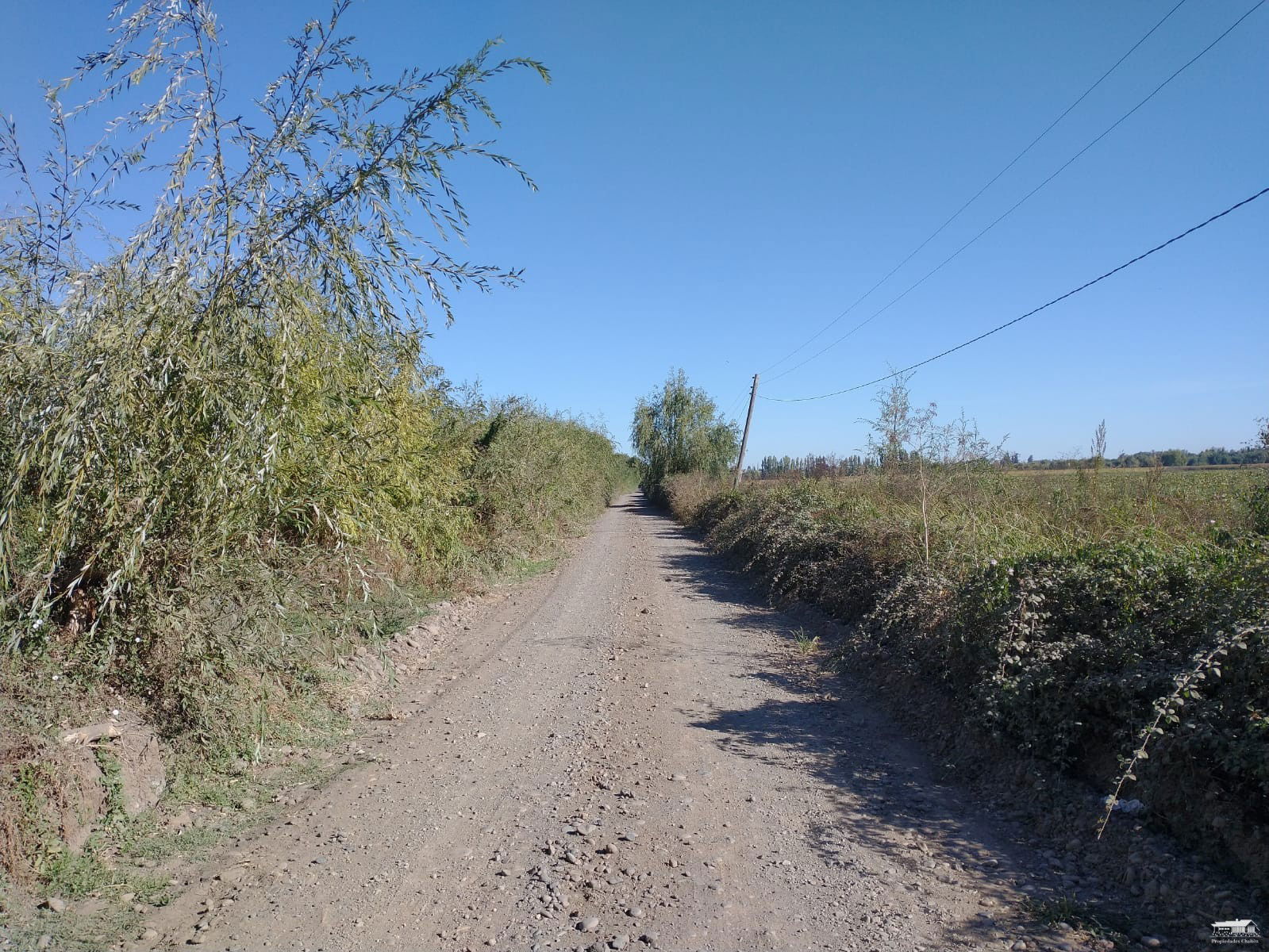 Se vende parcela de 10 hás en Pelarco - Región del Maule - $320.000.000