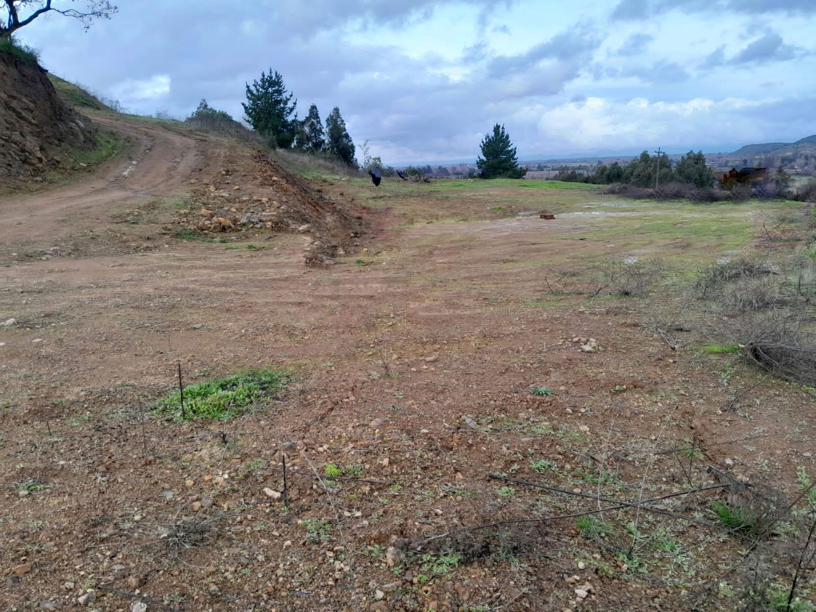 Se vende parcela de agrado con agua potable y electricidad en San Javier, Región del Maule