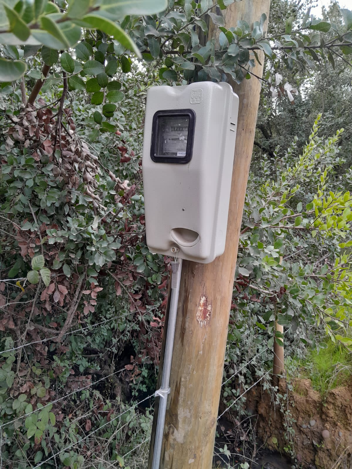 Se vende parcela de agrado con agua potable y electricidad en San Javier, Región del Maule