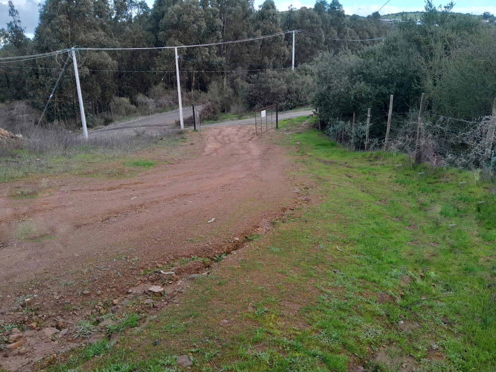 Se vende parcela de agrado con agua potable y electricidad en San Javier, Región del Maule