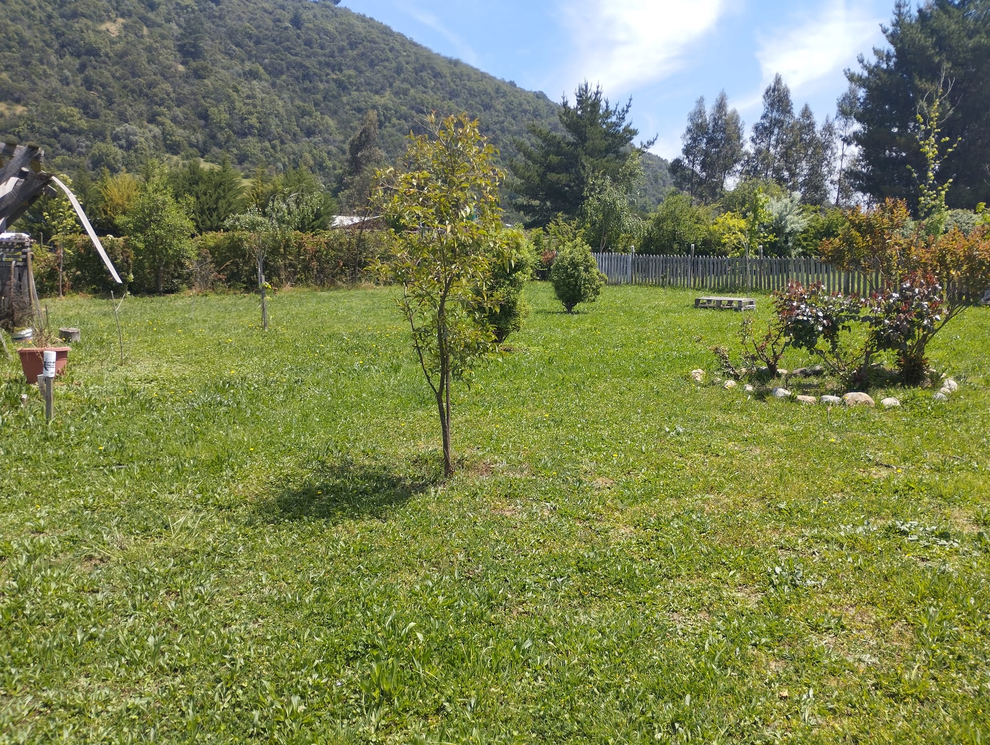 Se vende parcela de agrado con casa y piscina en San Clemente